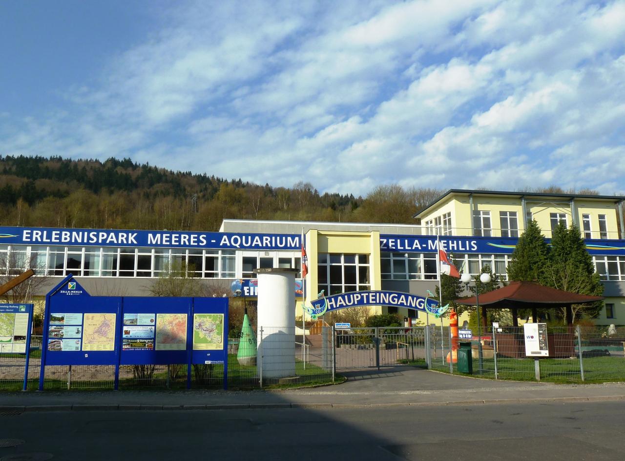 Vom Erlebnispark Meeresaquarium zum Schwarzen Kopf | GPS Wanderatlas