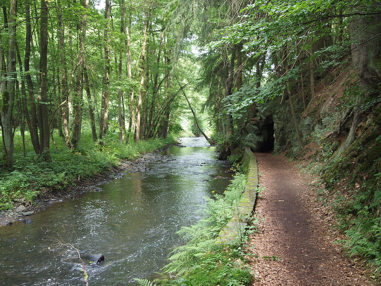 Selketalstieg (Harz) | GPS Wanderatlas