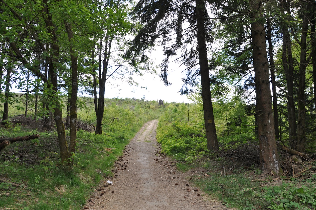 Oberndorfer Höhe (Hilchenbach) GPS Wanderatlas