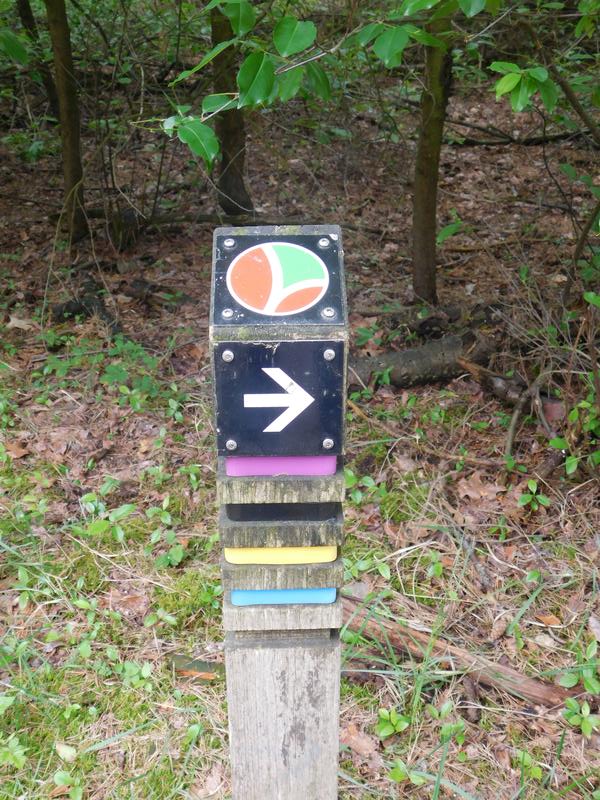 Große Runde durch die Teverener Heide | GPS Wanderatlas