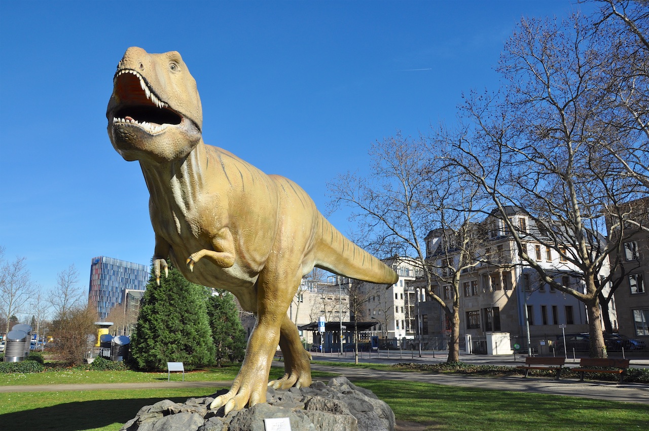 Senckenberg Naturmuseum GPS Wanderatlas