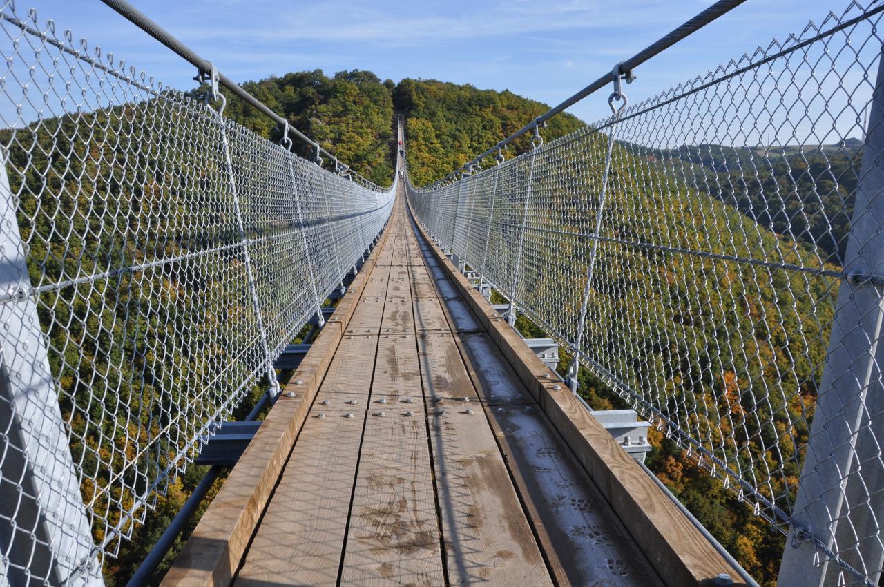 Hängeseilbrücke Geierlay: Die 5 schönsten Rundtouren an der Geierlay ...