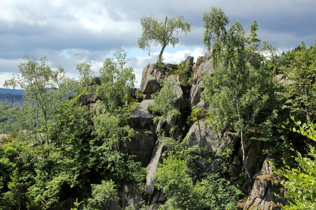 Zu den Harzer Luchsen an der Rabenklippe und durchs Kalte ...