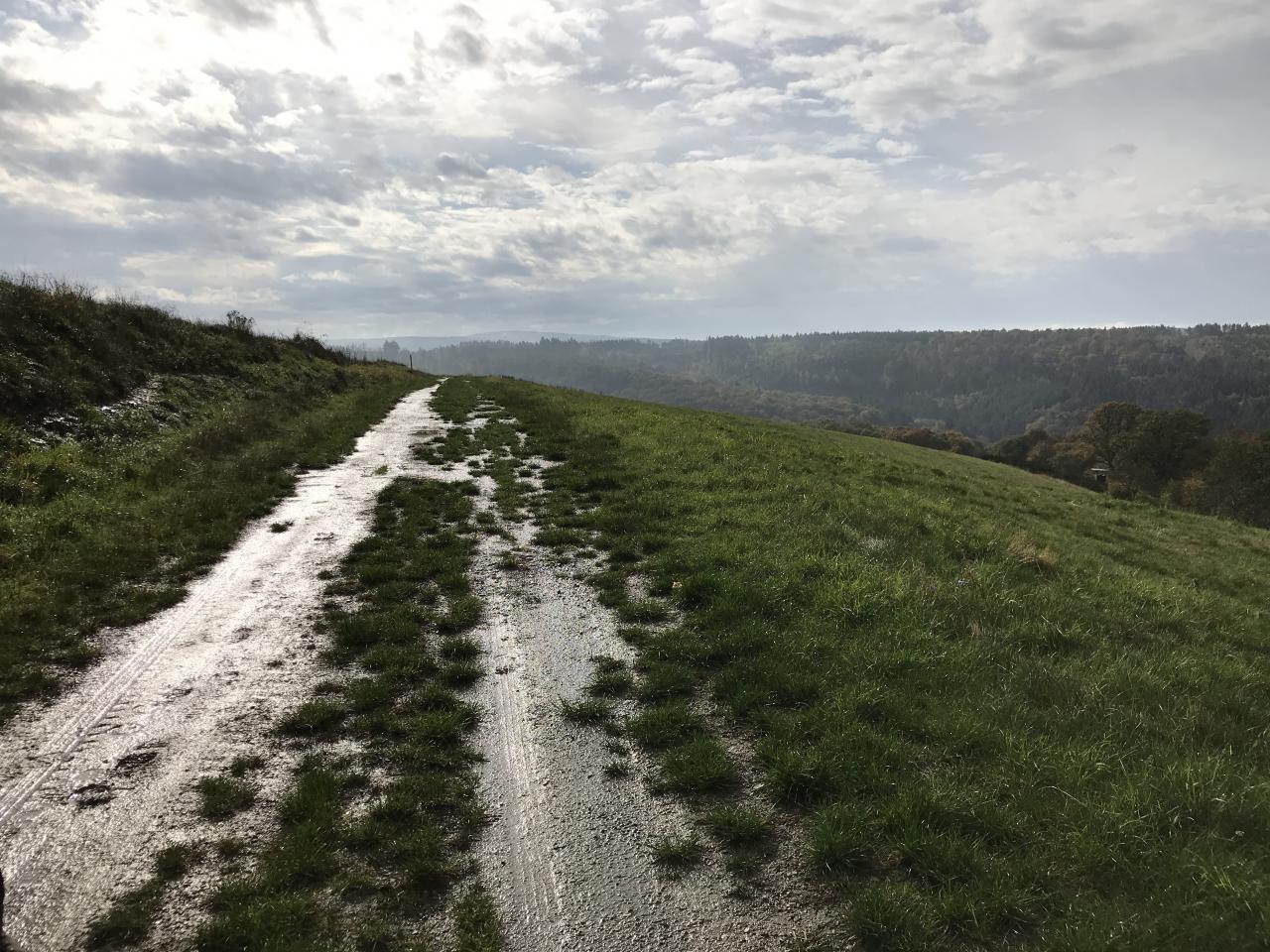 Wispertaunus Rundtour zwischen Langenseifen und Fischbach