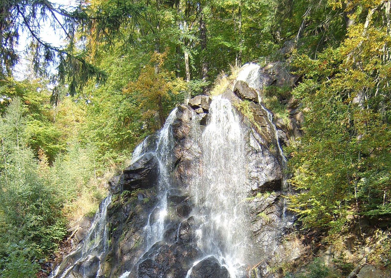 Rundwanderung auf dem Kaiserweg Bad Harzburg (Harz) | GPS Wanderatlas