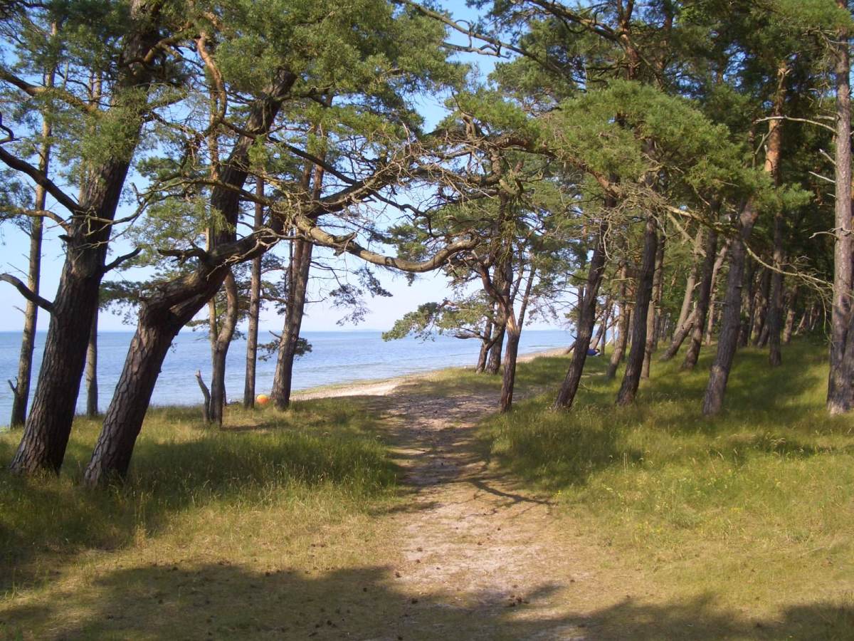 Wanderung am Lanken zum Schloss Ludwigsburg (Loissin) GPS Wanderatlas