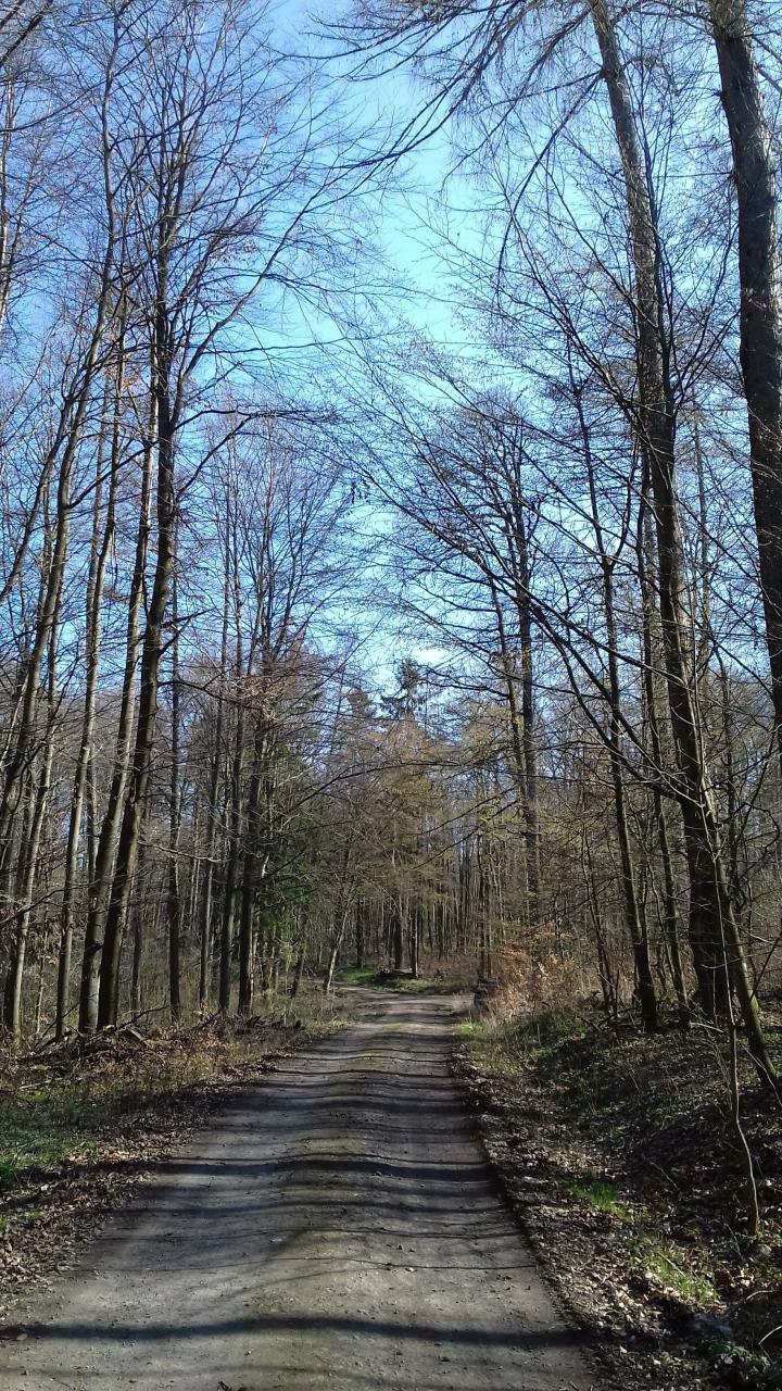 Um den Hatzenberg | GPS Wanderatlas