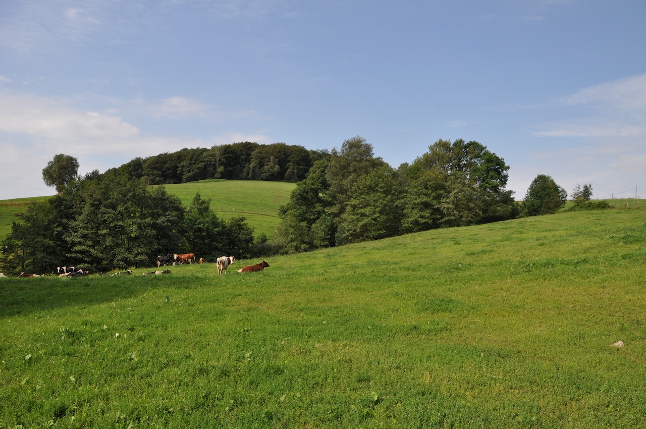 BergischMärkisches Hügelland GPS Wanderatlas