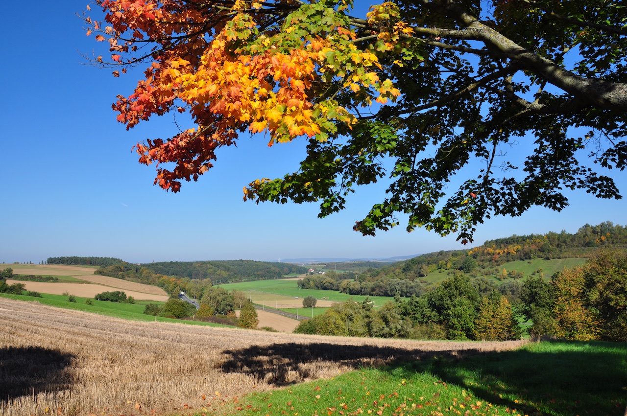 Goldener Grund Goldener Grund