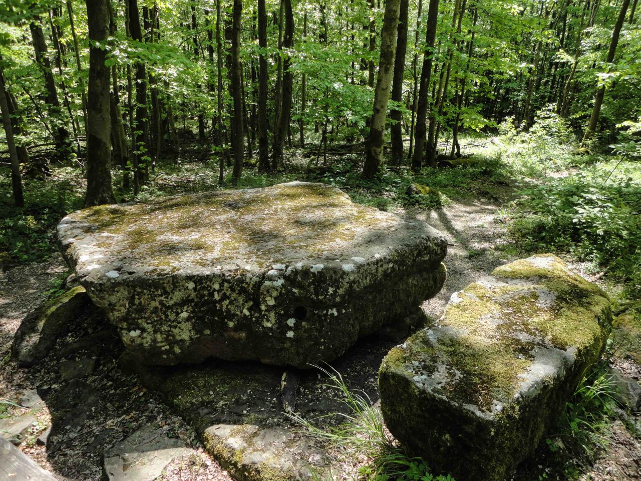 Ilbeshausen-Hochwaldhausen: Die Felsentour R4 | GPS Wanderatlas