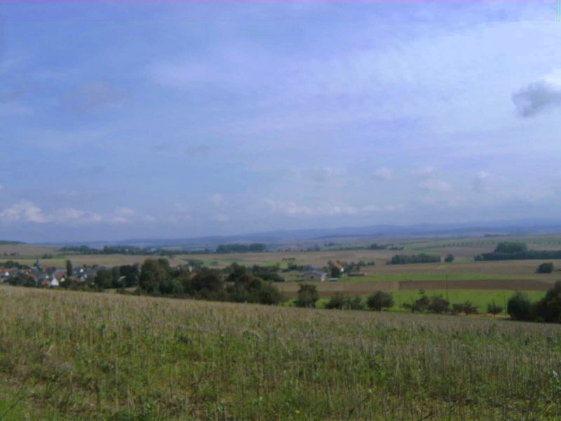 Rund um den Mensfelder Kopf bei Mensfelden (Taunus) GPS Wanderatlas