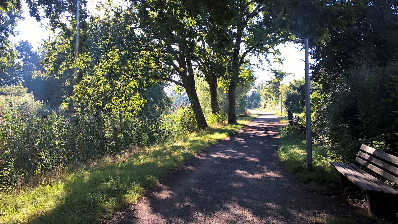 Raunheimer Waldsee Rundwanderung (Rhein-Main-Gebiet) | GPS Wanderatlas