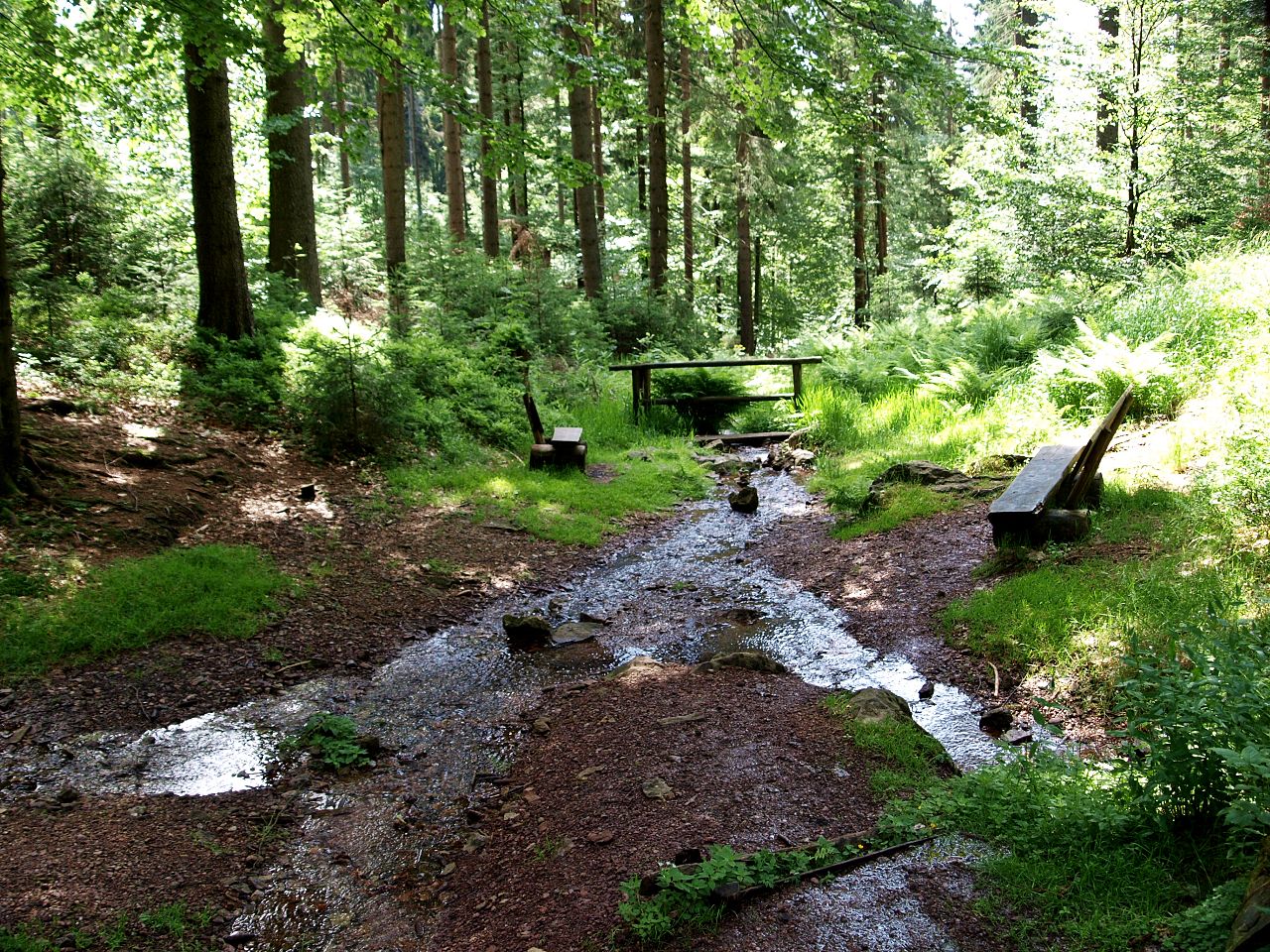 Rundtour VesserQuelle, Zehn Teiche und Pfälzer Hütte GPS Wanderatlas