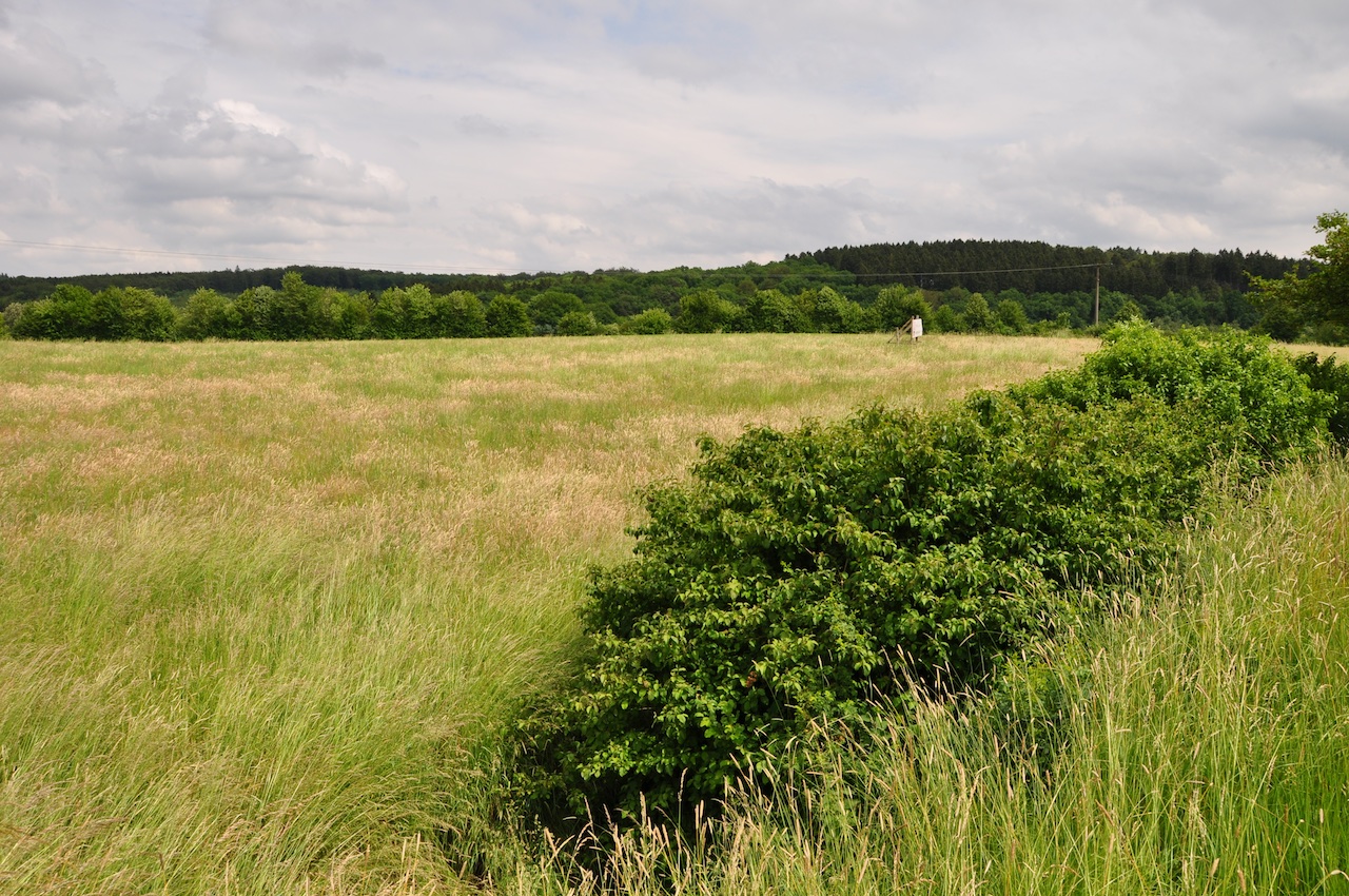 Dierdorfer Senke GPS Wanderatlas