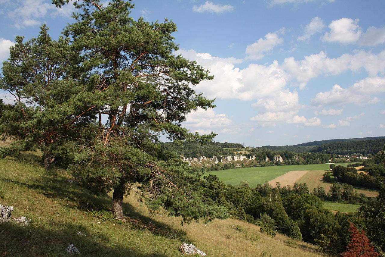 Schlaufenweg Solnhofen Zwölf Apostel und die SolaBasilika GPS