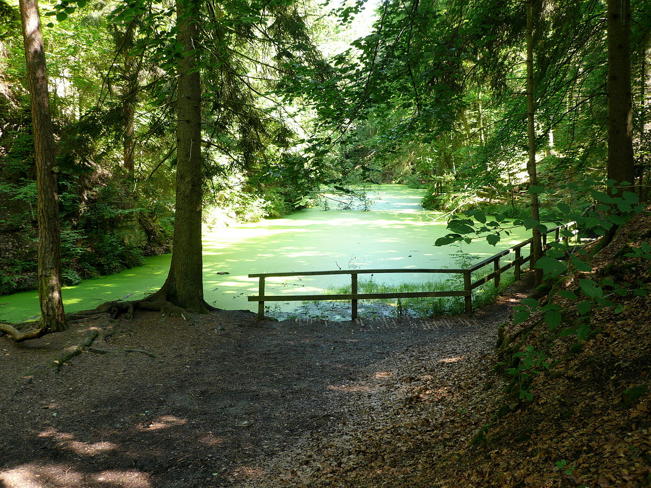 Märchensee-Runde am Pfaffenberg (Wendelsheim) | GPS Wanderatlas