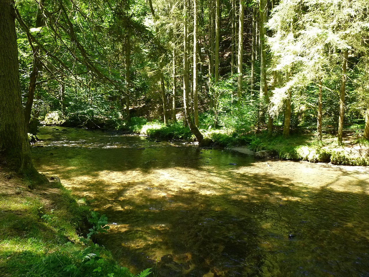 Perlbachtal-Rundwanderung (bei Neukirchen) | GPS Wanderatlas
