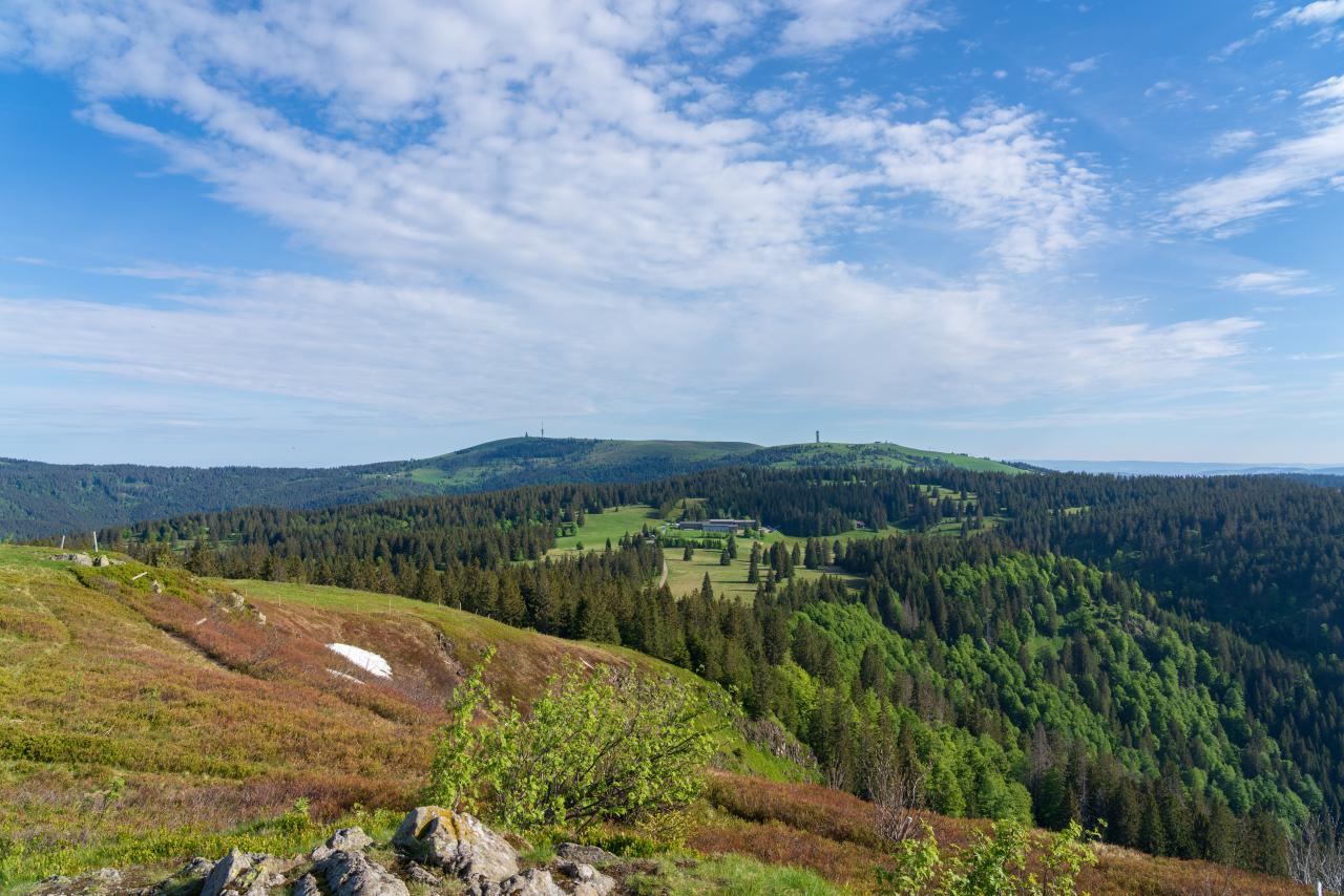 Die 5 besten Wandertouren am Feldberg im Schwarzwald GPS Wanderatlas