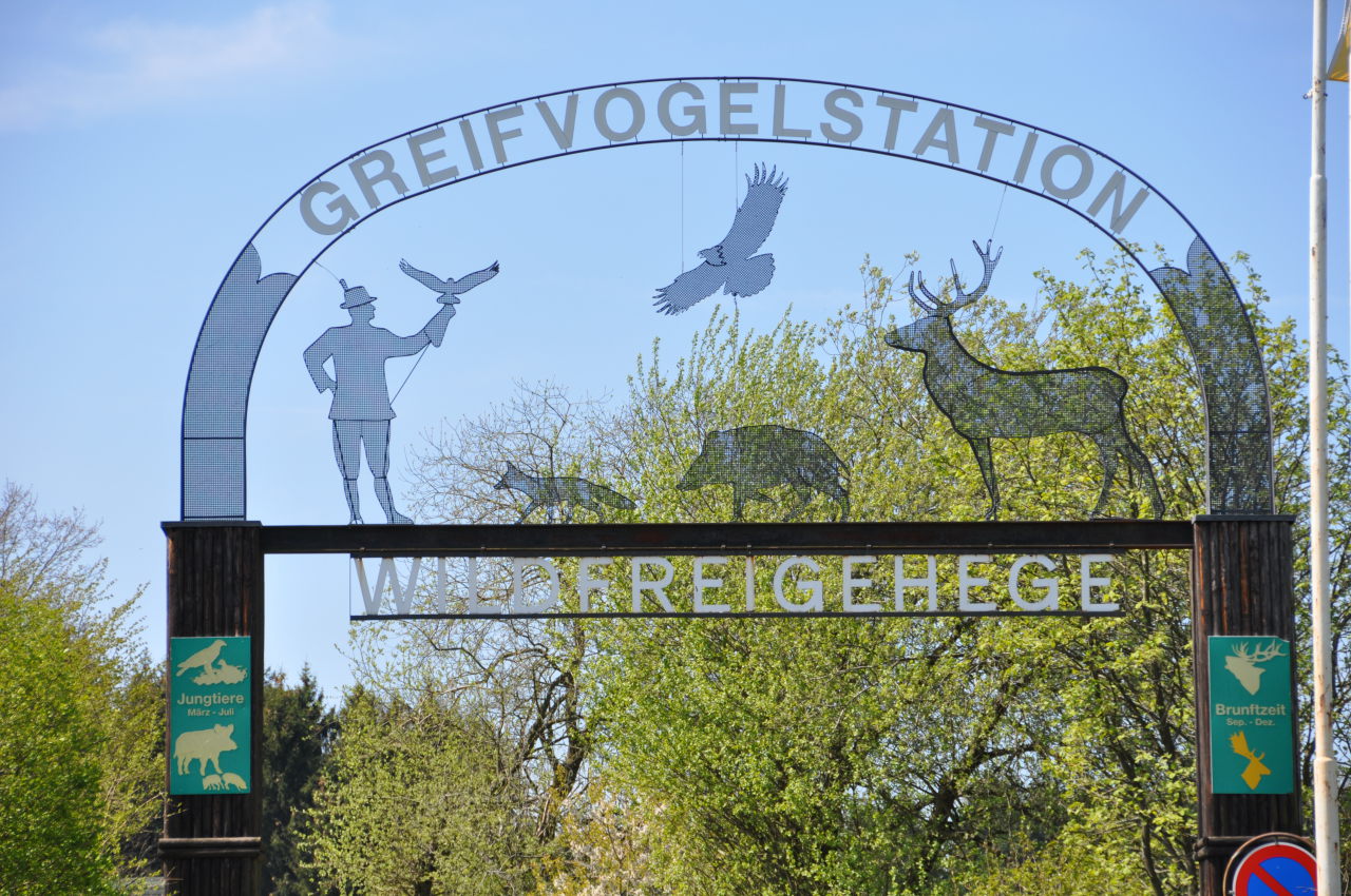 Eifelschleife Adlerblick Rund um GreifvogelstationWildfreigehege Hellenthal