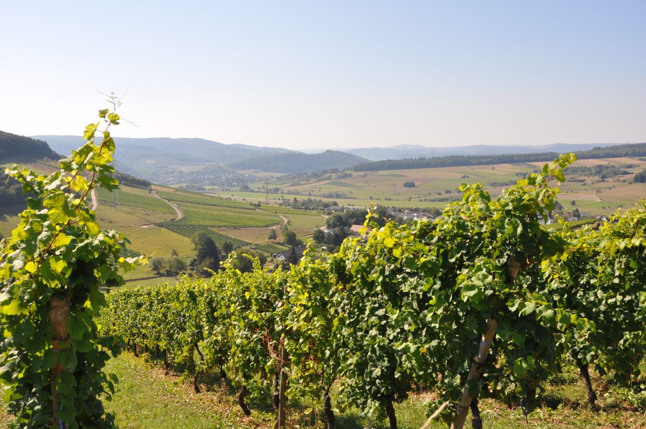 Erlebnispfad Konzer Tälchen (Mosel-Saar-Ruwer) | GPS Wanderatlas