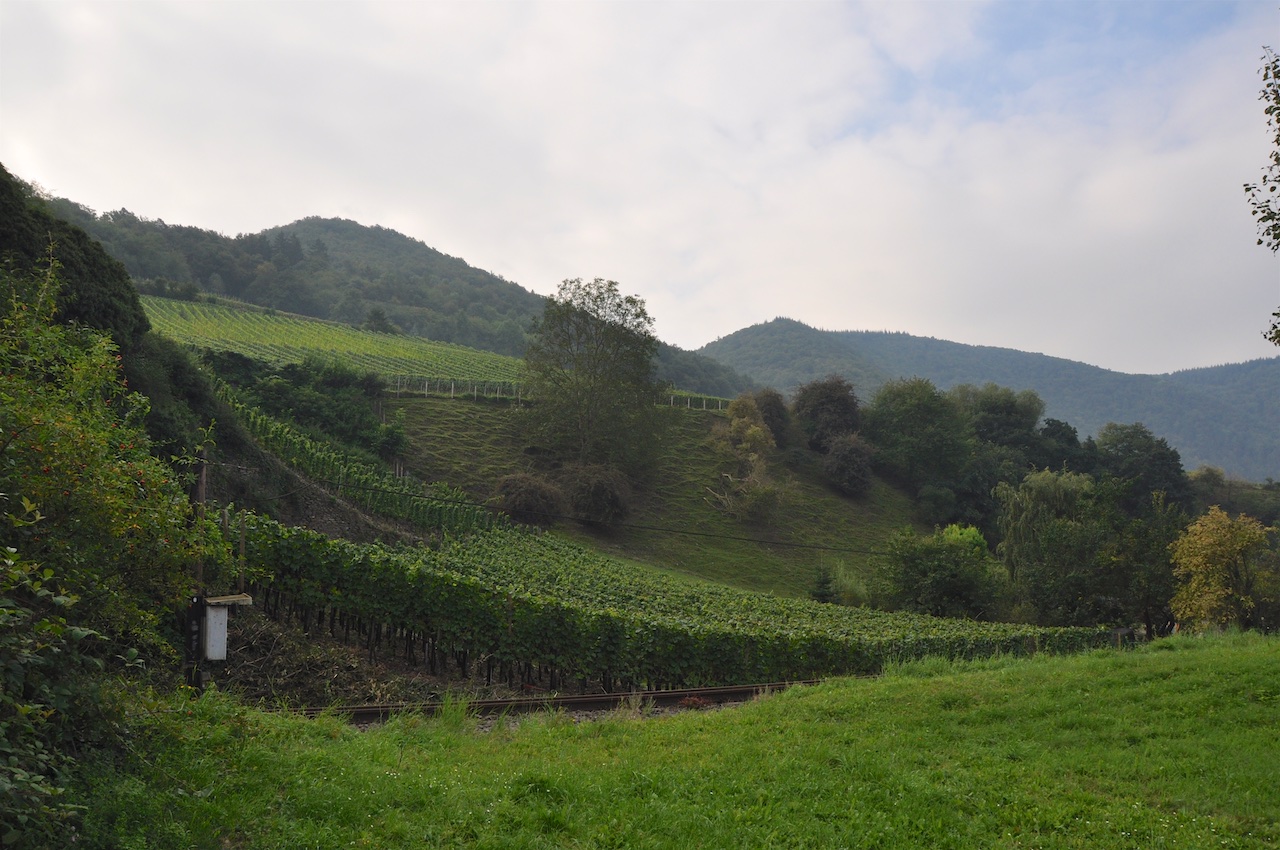 Rundwanderung von Mayschoß über die Saffenburg zur Akropolis (Ahrtal ...
