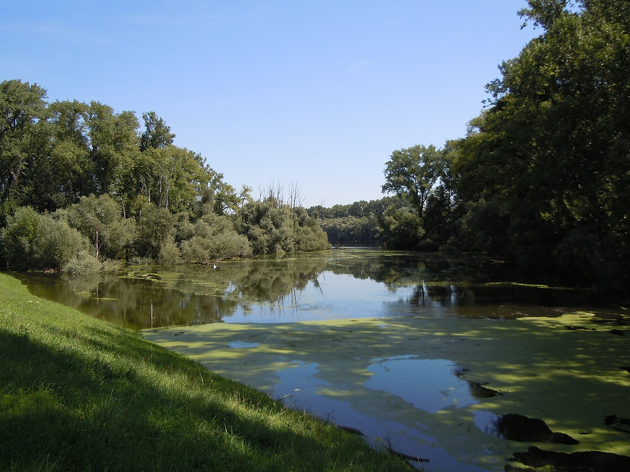 Treidlerweg (durch die Hördter Rheinauen) | GPS Wanderatlas