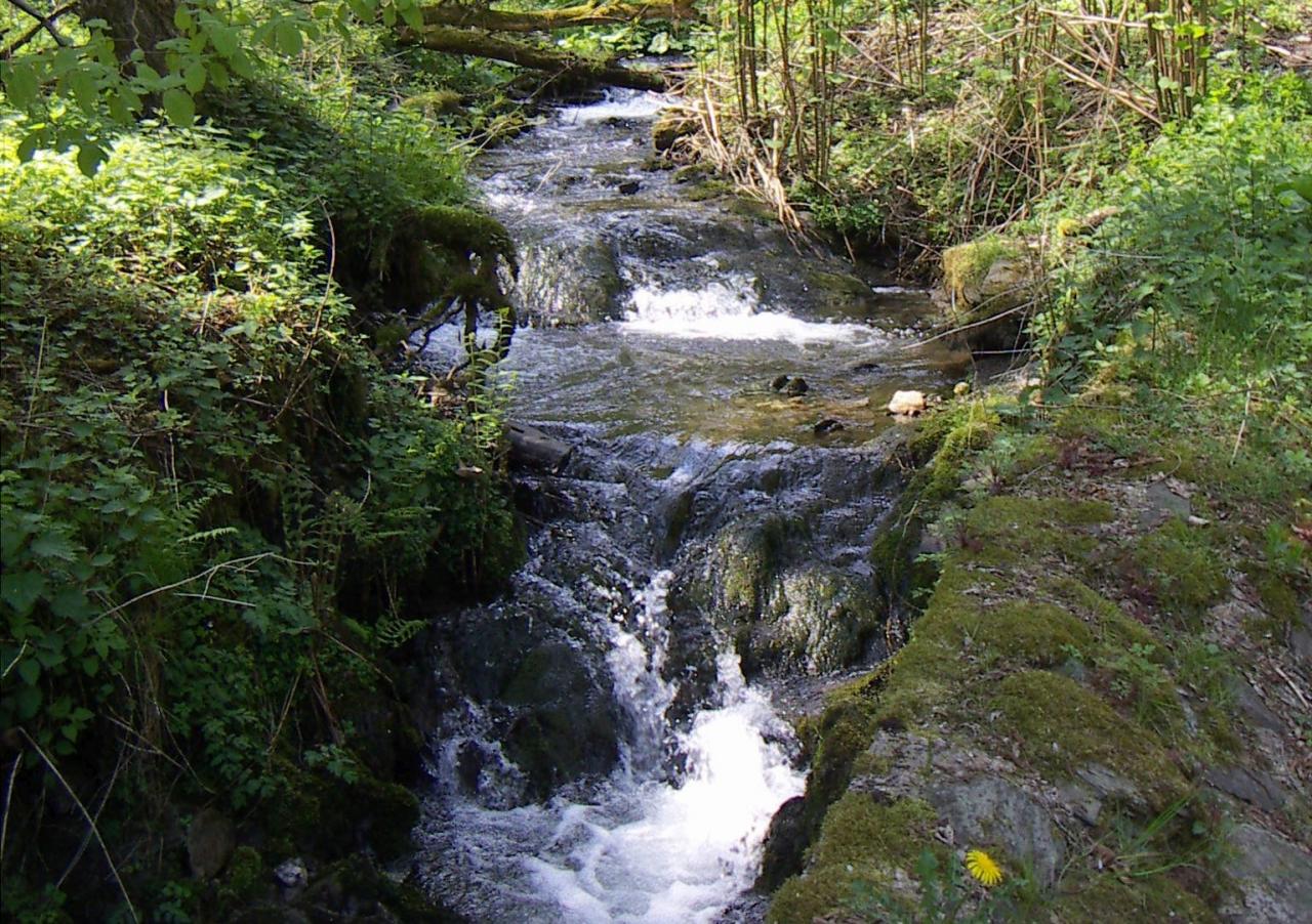 Von Simmerath durchs Tiefenbachtal (Rurseegebiet) GPS Wanderatlas