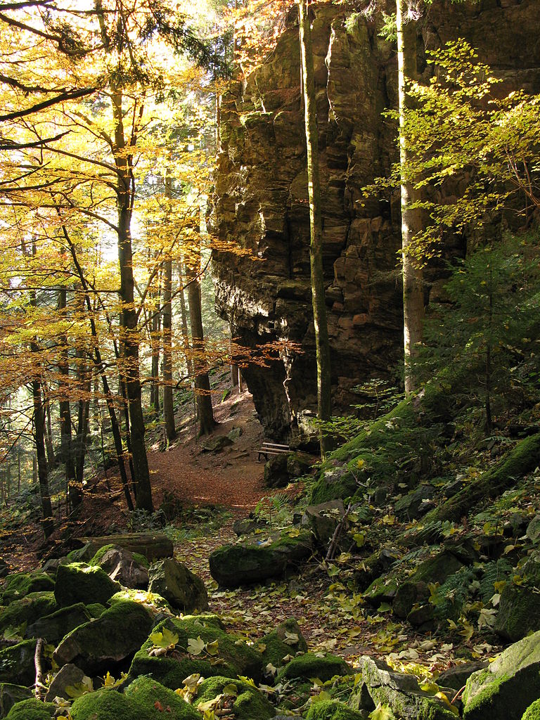 SchwarzwaldQuerweg SchwarzwaldKaiserstuhlRhein GPS Wanderatlas