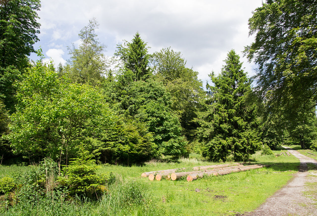 Lönspfad GPS Wanderatlas