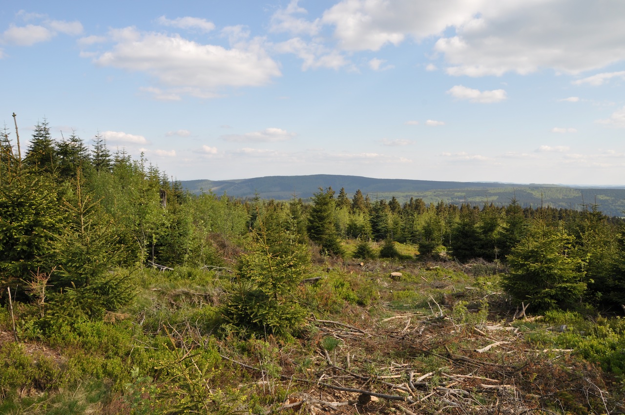 Berge im Sauerland: Die höchsten Gipfel im Land der 1000 Berge | GPS Wanderatlas