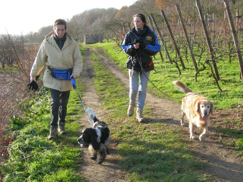 Rund um Wezemaal auf den Spuren des Weines (Belgien) GPS Wanderatlas