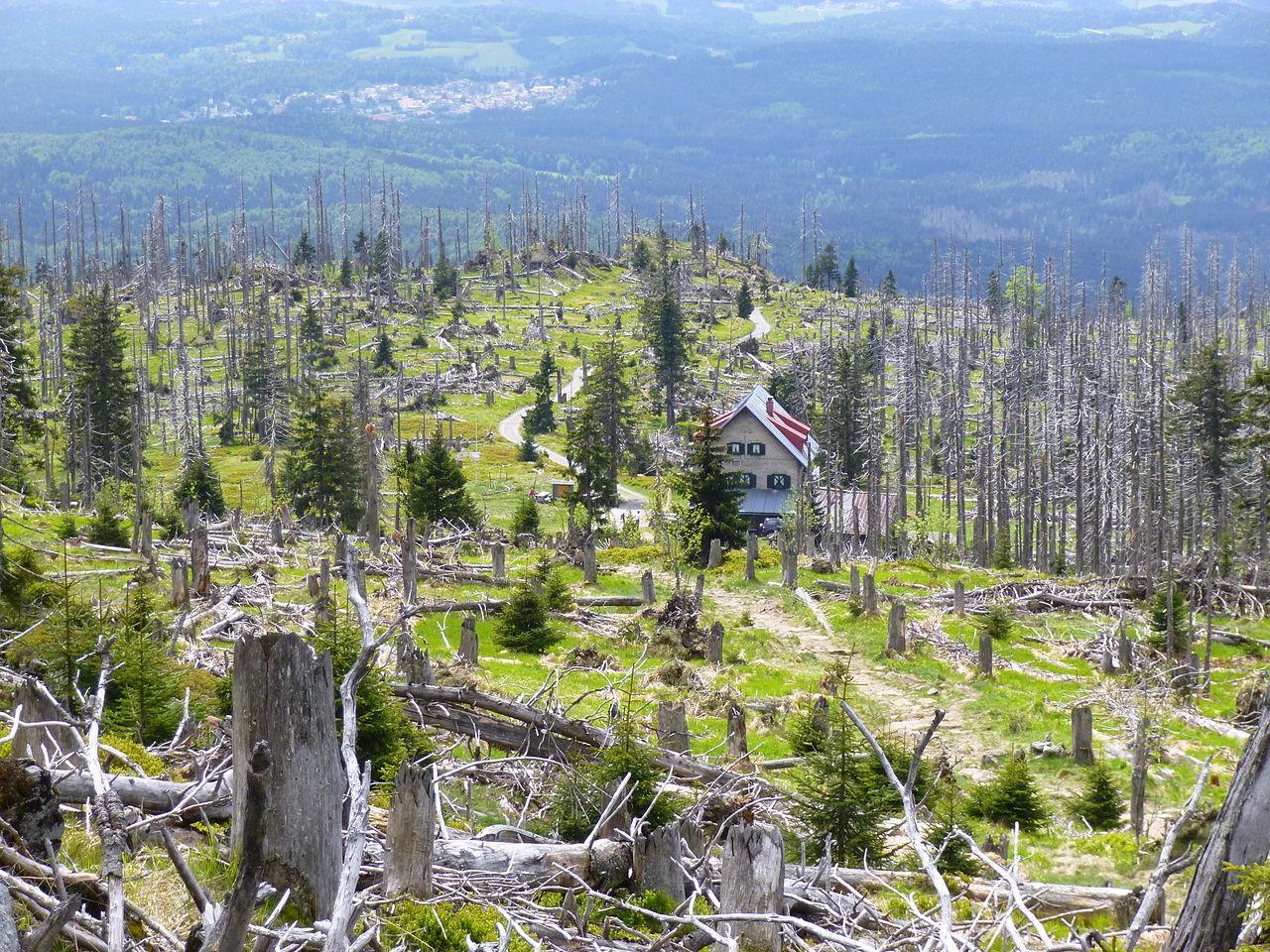 Großer Rachel Aufstieg ab Oberfrauenau (Bayerischer Wald) | GPS Wanderatlas