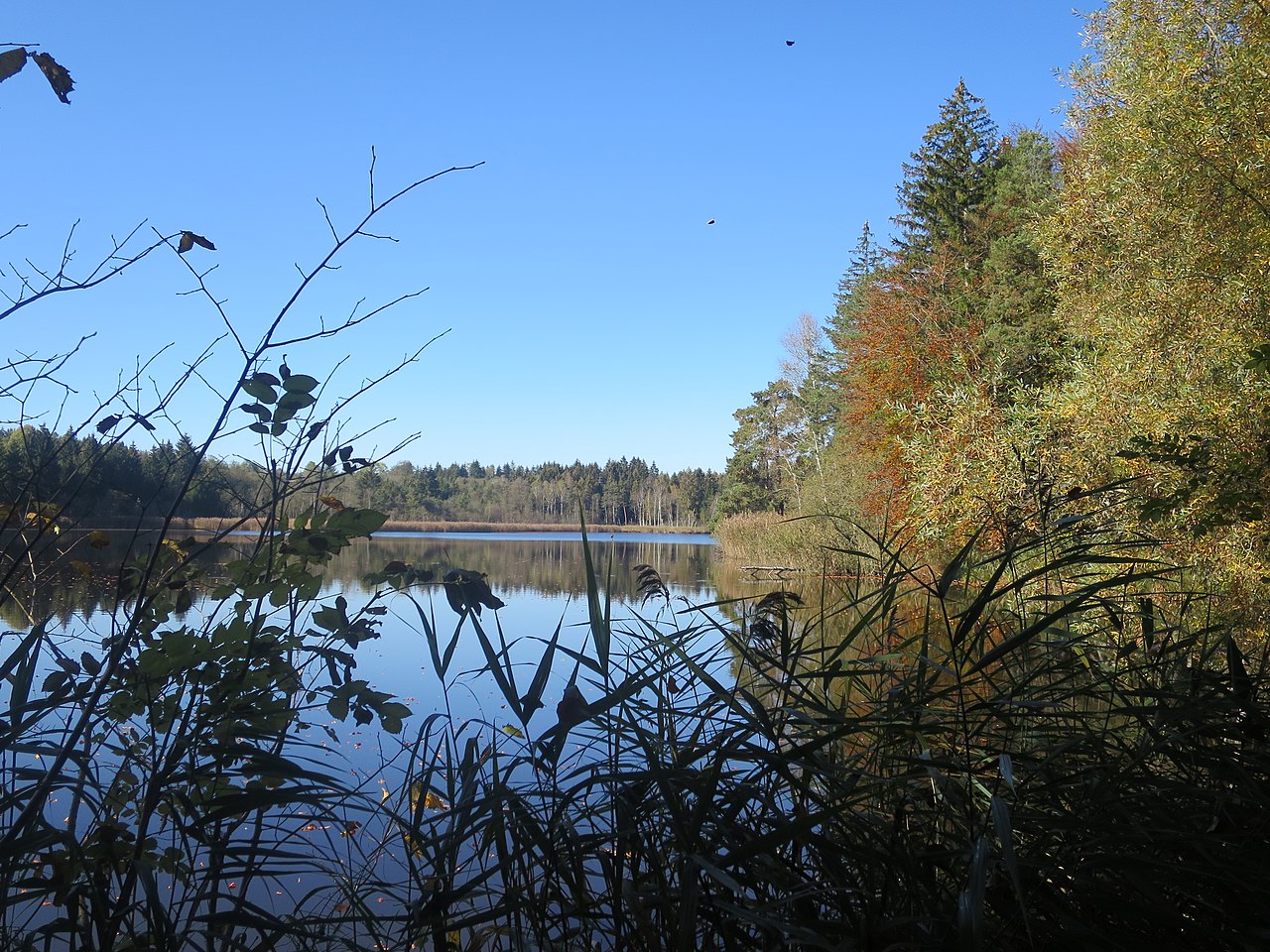wetter bernried am starnberger see