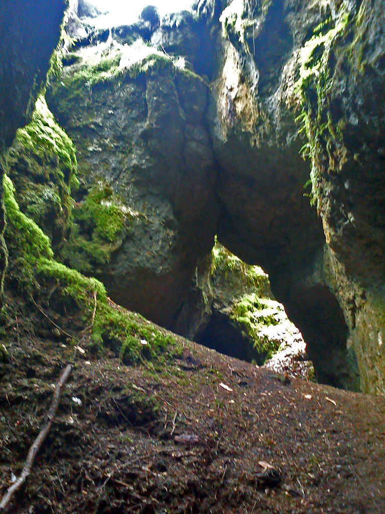 AuerhahnRundweg im Veldensteiner Forst (Fränkische Schweiz) GPS