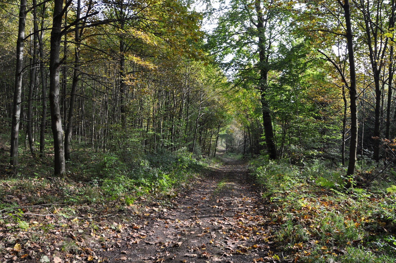 LahnDillBergland GPS Wanderatlas