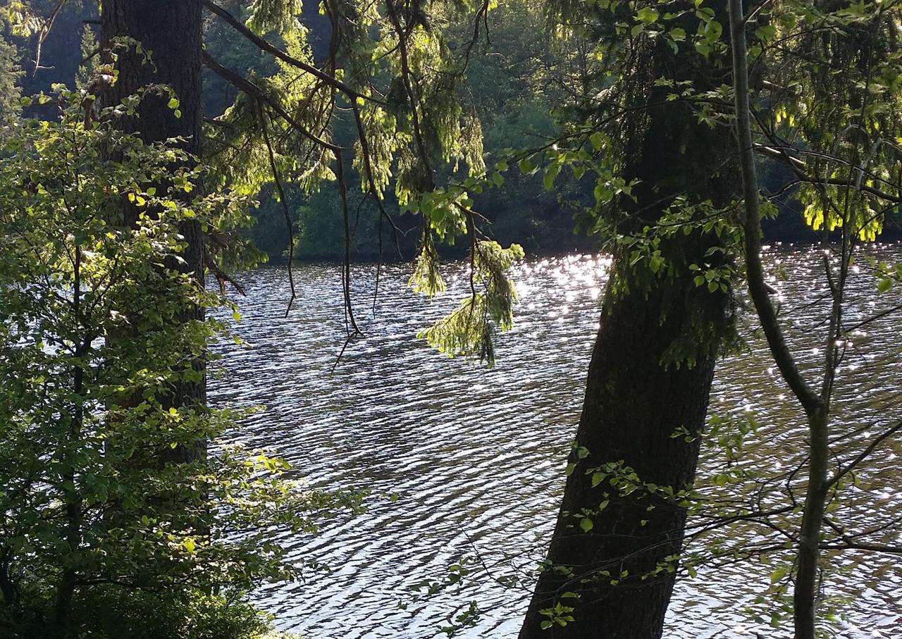 Silberteich und Rinderstall Rundwanderung im Nationalpark Harz GPS