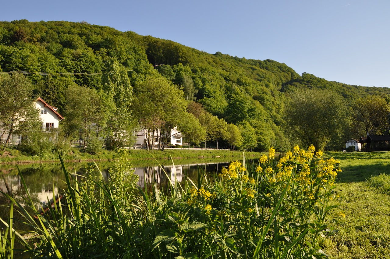 Waldbreitbach | GPS Wanderatlas