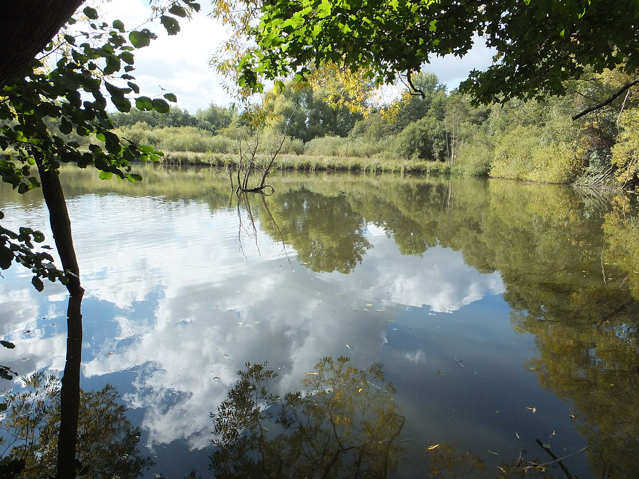 Rahmer Wald Rundwanderung (mit Schloss Westhusen und Mastbruch) | GPS