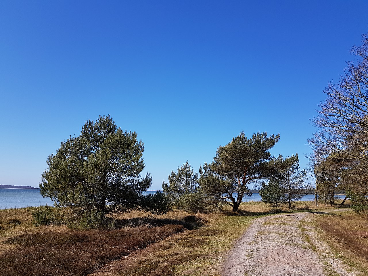 Schaabe-Rundwanderung ab Juliusruh (Rügen) | GPS Wanderatlas