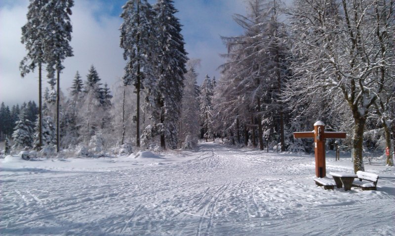 Auf der Nordhelle im Ebbegebirge (Sauerland) GPS Wanderatlas