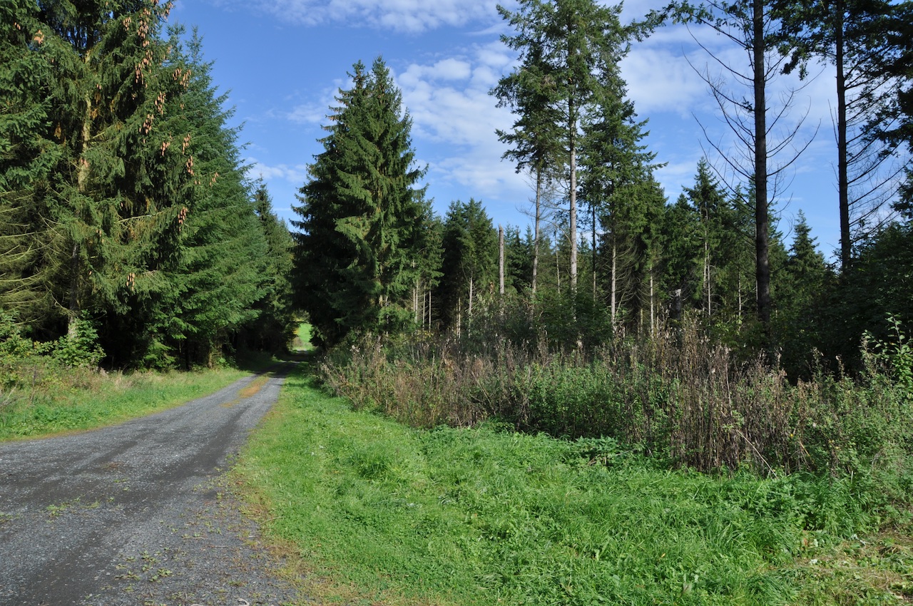 Wandern im Schelder Wald GPS Wanderatlas
