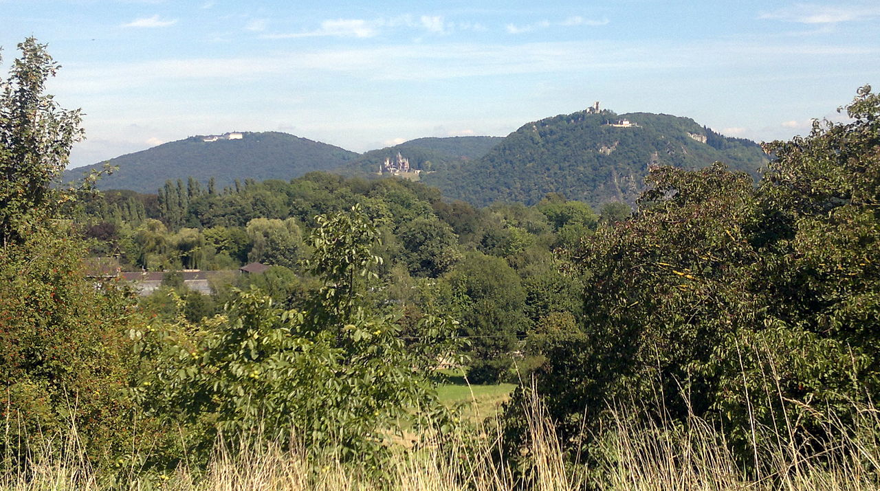 Rund um den Rodderberg (Drachenfelser Ländchen) GPS Wanderatlas