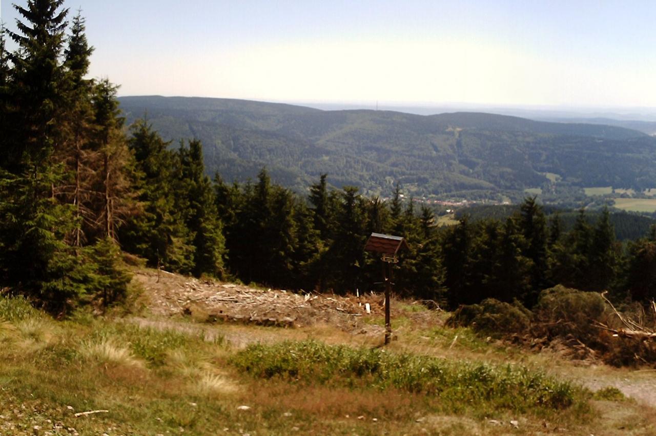 Rundwanderung Rosenkopf Großer Beerberg Steinsfelder Brücke GPS