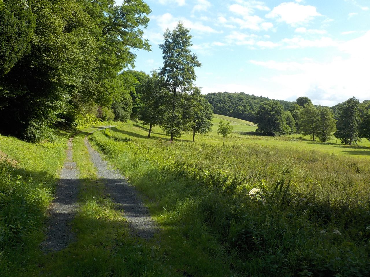 Von Trinnhausen durch das Wambachtal (Westerwald) GPS Wanderatlas