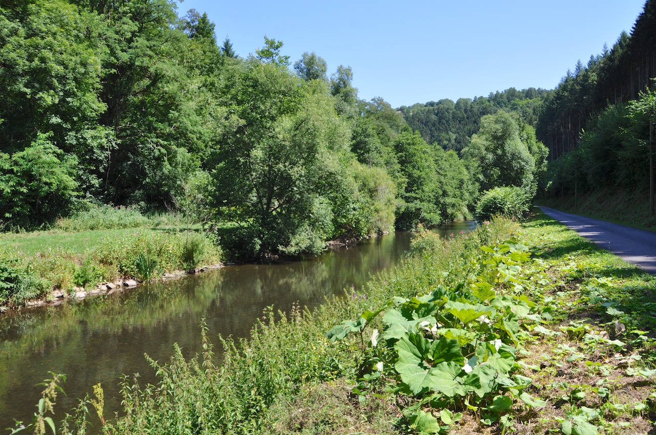 Speicher (Eifel) GPS Wanderatlas