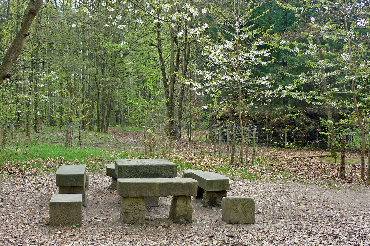 Runde zum Steinernen Tisch (Sächsische Schweiz) GPS Wanderatlas