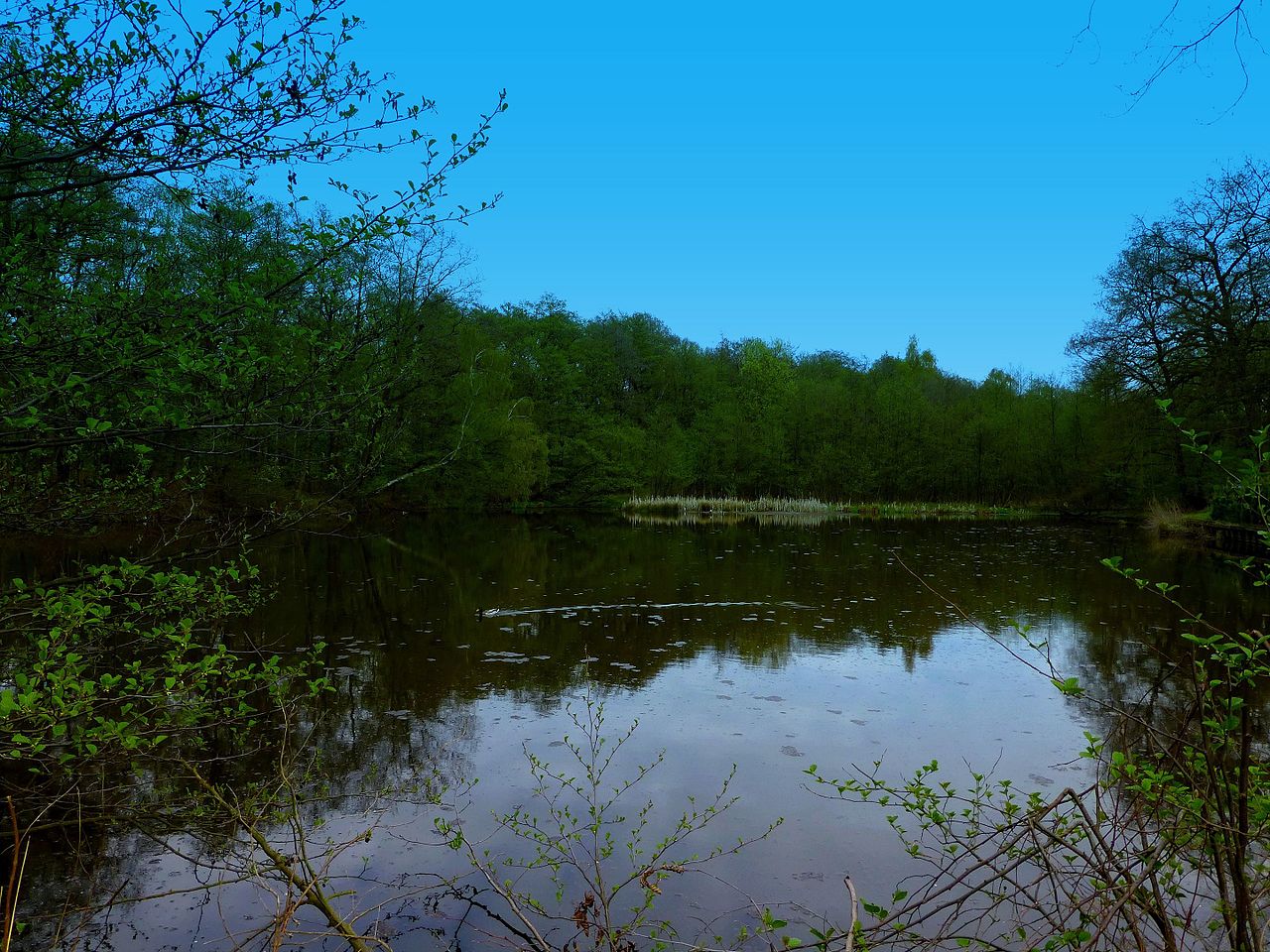 Vom Heidesee durch den Hiesfelder Wald zur Grafenmühle (Bottrop) GPS