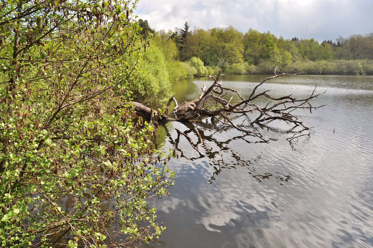 Vogelsberger Seenplatte GPS Wanderatlas