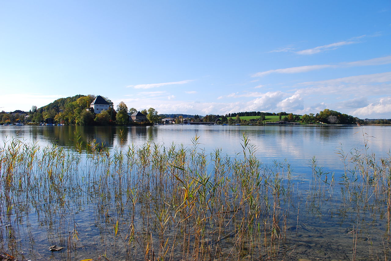 Vom Mattsee auf den Buchberg (mit Aussichtsplateau) GPS Wanderatlas