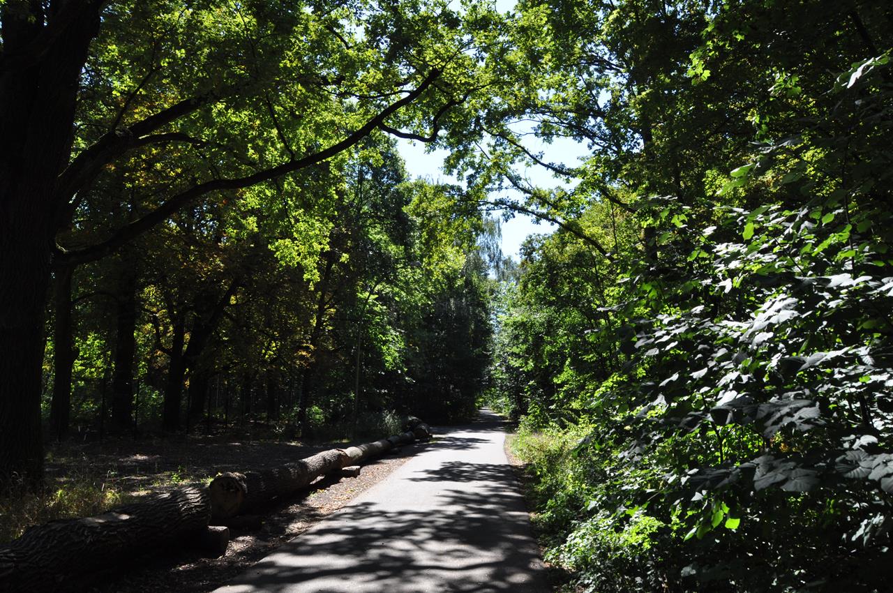 Vom Plänterwald zur Insel der Jugend